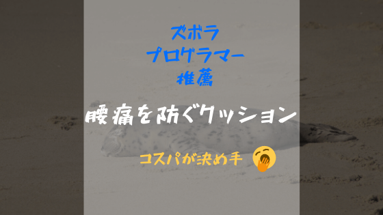 ズボラなプログラマーの腰痛を防ぐクッション【コスパが決め手】