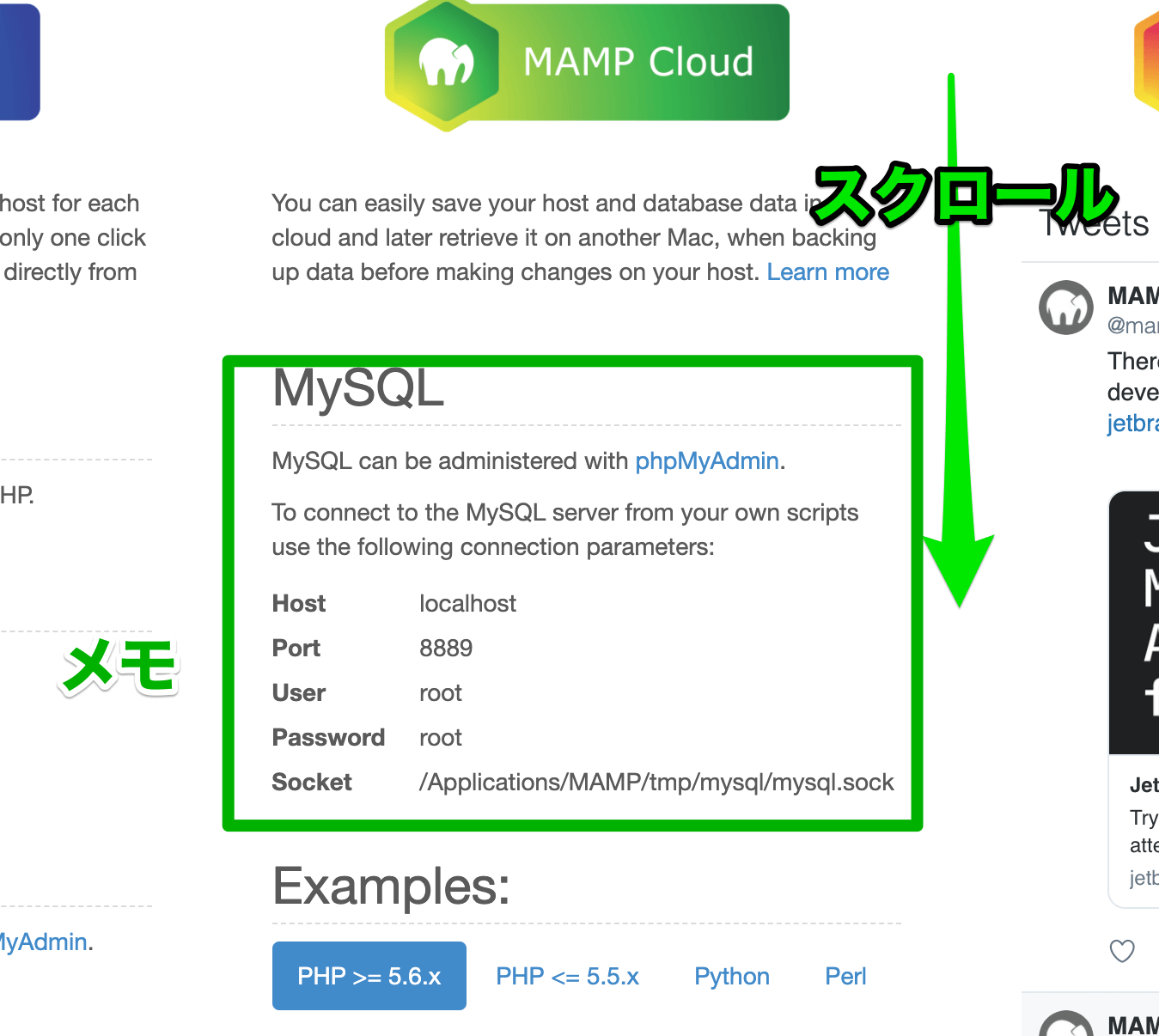 MAMPでMySQLの確認画面